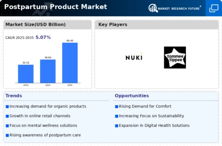 Postpartum Product Market Infographic