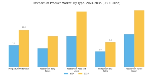 Postpartum Product Market Segment Image 0