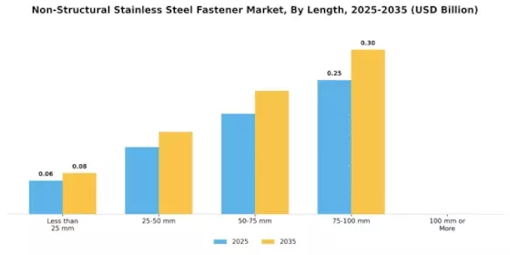 Non Structural Stainless Steel Fastener Market
 Segment Image 4