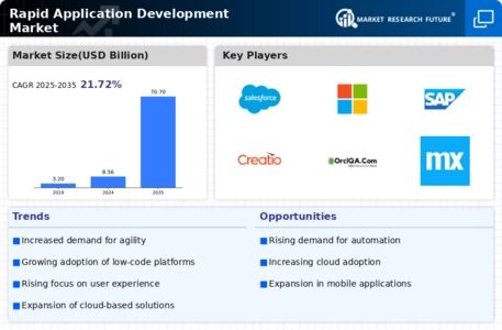 Rapid Application Development Market
 Infographic