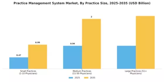 Practice Management System Market Segment Image 1