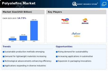 Polyolefins Market Infographic