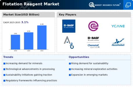Flotation Reagent Market Infographic