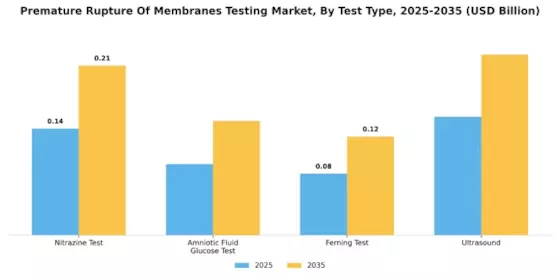 Premature Rupture Membranes Testing Market Segment Image 0