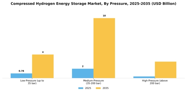 Compressed Hydrogen Energy Storage Market Segment Image 2