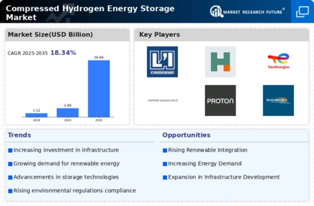 Compressed Hydrogen Energy Storage Market Infographic