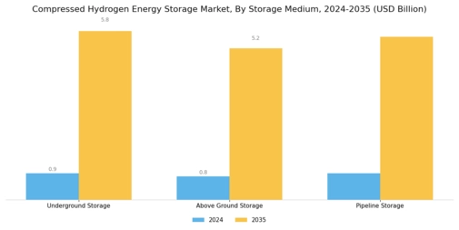 Compressed Hydrogen Energy Storage Market Segment Image 0