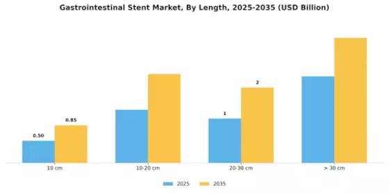 Gastrointestinal Stent Market Segment Image 3