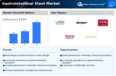 Gastrointestinal Stent Market Infographic