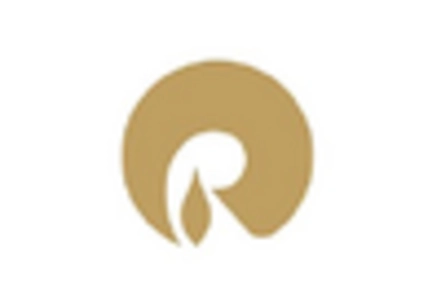 Polyamide In Electronic Protection Device Market key player