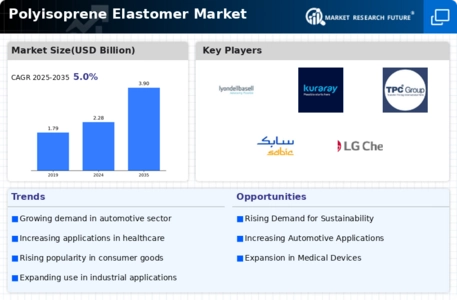 Polyisoprene Elastomer Market Infographic