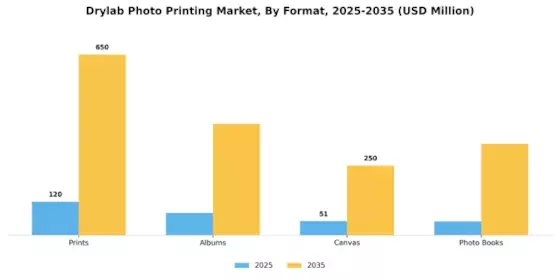 Drylab Photo Printing Market Segment Image 2