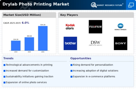 Drylab Photo Printing Market Infographic