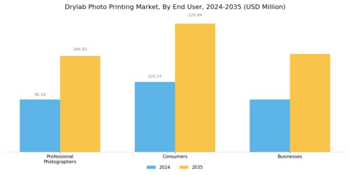 Drylab Photo Printing Market Segment Image 3