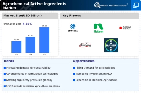 Agrochemical Active Ingredients Market Infographic