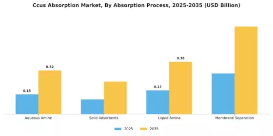 Ccus Absorption Market Segment Image 1