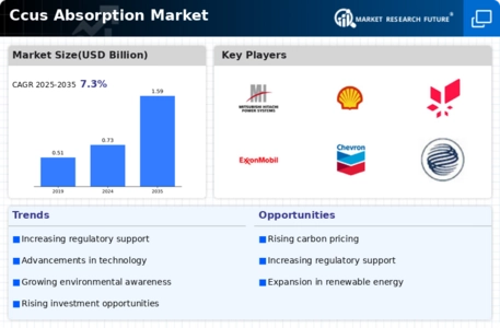 Ccus Absorption Market Infographic