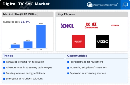 Digital TV SoC Market Infographic