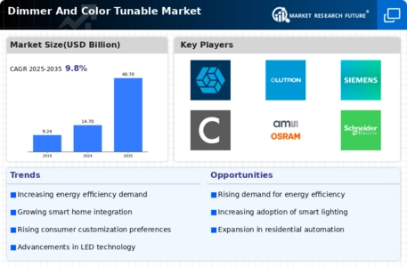 Dimmer Color Tunable Market Infographic