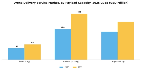 Drone Delivery Service Market Segment Image 2