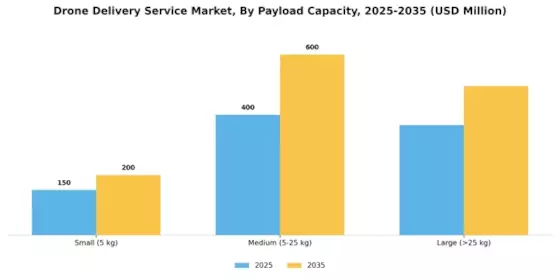 Drone Delivery Service Market Segment Image 1