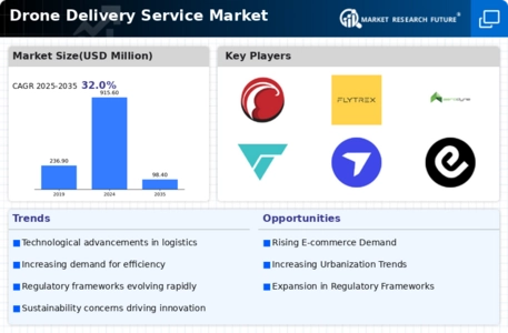 Drone Delivery Service Market Infographic