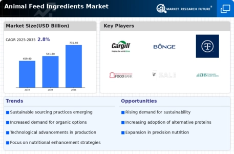 Animal Feed Ingredients Market Infographic