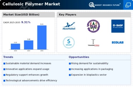 Cellulosic Polymer Market Infographic