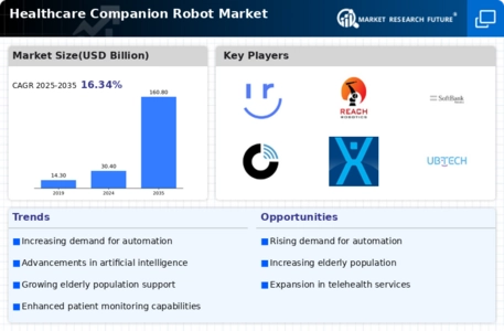 Healthcare Companion Robot Market Infographic