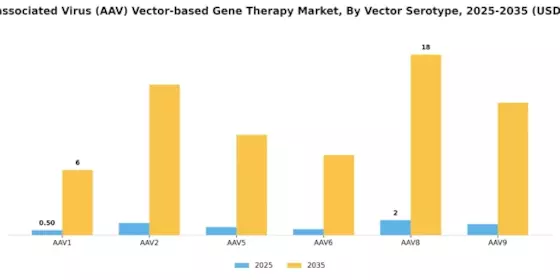 Adeno Associated Virus Aav Vector Based Gene Therapy Market Segment Image 1