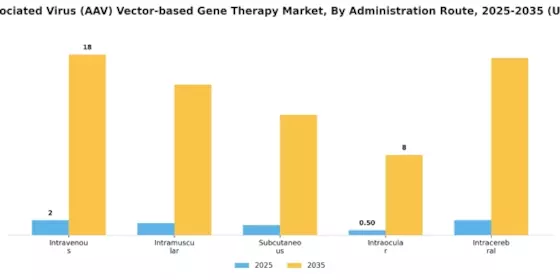 Adeno Associated Virus Aav Vector Based Gene Therapy Market Segment Image 2