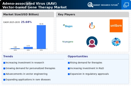 Adeno Associated Virus Aav Vector Based Gene Therapy Market Infographic