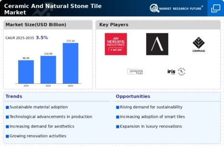 Ceramic Natural Stone Tile Market Infographic