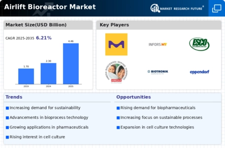 Airlift Bioreactor Market Infographic