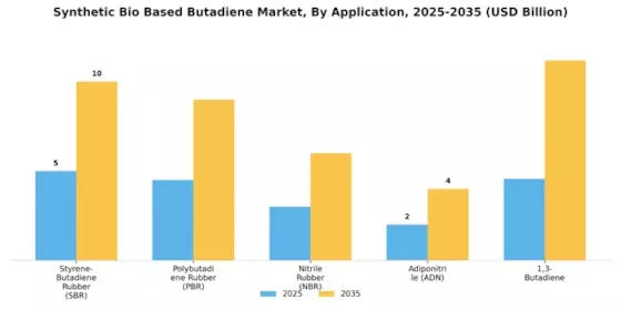 Synthetic Bio Based Butadiene Market Segment Image 0