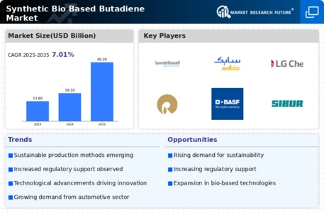 Synthetic Bio Based Butadiene Market Infographic