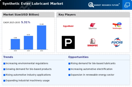 Synthetic Ester Lubricant Market Infographic