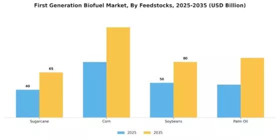 First Generation Biofuel Market Segment Image 0