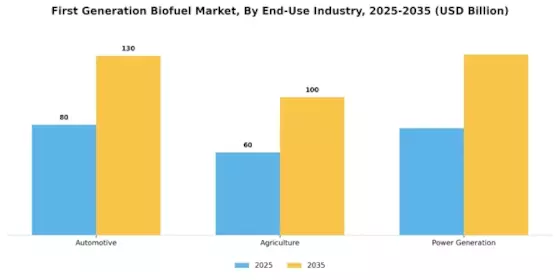First Generation Biofuel Market Segment Image 3