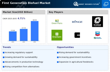 First Generation Biofuel Market Infographic