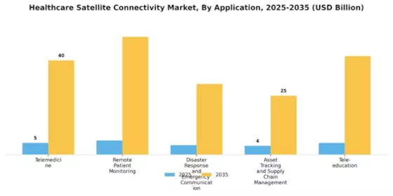 Marché de la connectivité satellite dans le secteur de la santé Segment Image 1