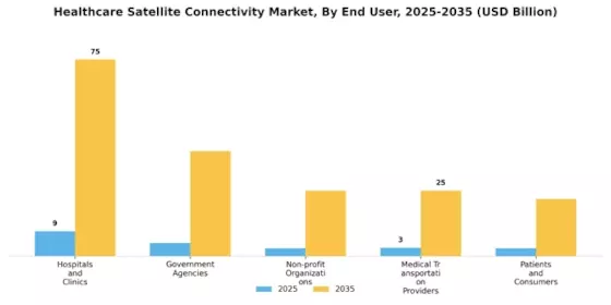 Marché de la connectivité satellite dans le secteur de la santé Segment Image 2