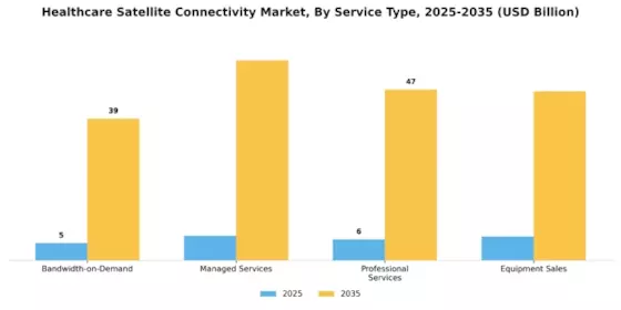Marché de la connectivité satellite dans le secteur de la santé Segment Image 3
