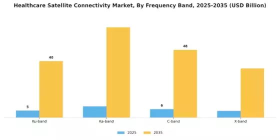 Marché de la connectivité satellite dans le secteur de la santé Segment Image 4