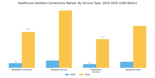 Healthcare Satellite Connectivity Market Segment Image 3