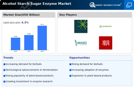 Alcohol Starch Sugar Enzyme Market Infographic