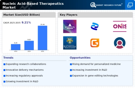 Nucleic Acid-based Therapeutics Market Infographic