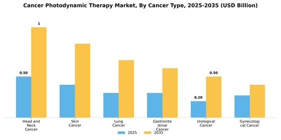 Cancer Photodynamic Therapy Market  Segment Image 1