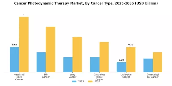 Cancer Photodynamic Therapy Market  Segment Image 0