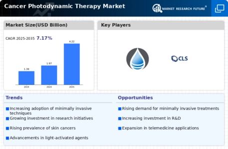 Cancer Photodynamic Therapy Market  Infographic